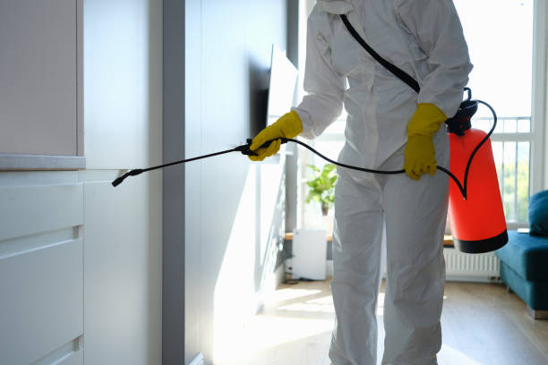 Certified Mold Removal in Calcium, NY