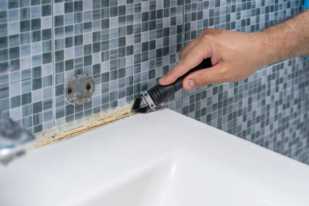 Best Home Mold Removal  in Calcium, NY