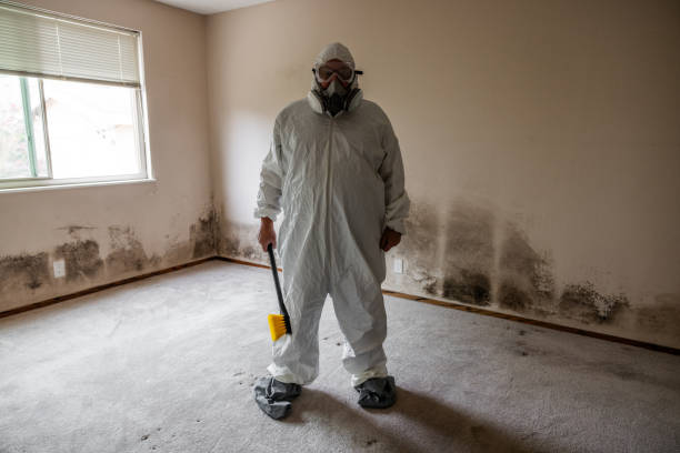 Crawl Space Mold Removal in Calcium, NY